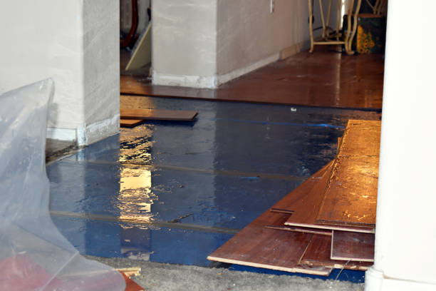 Professional Burst Pipe Cleanup technician working in Joshua Tree, CA